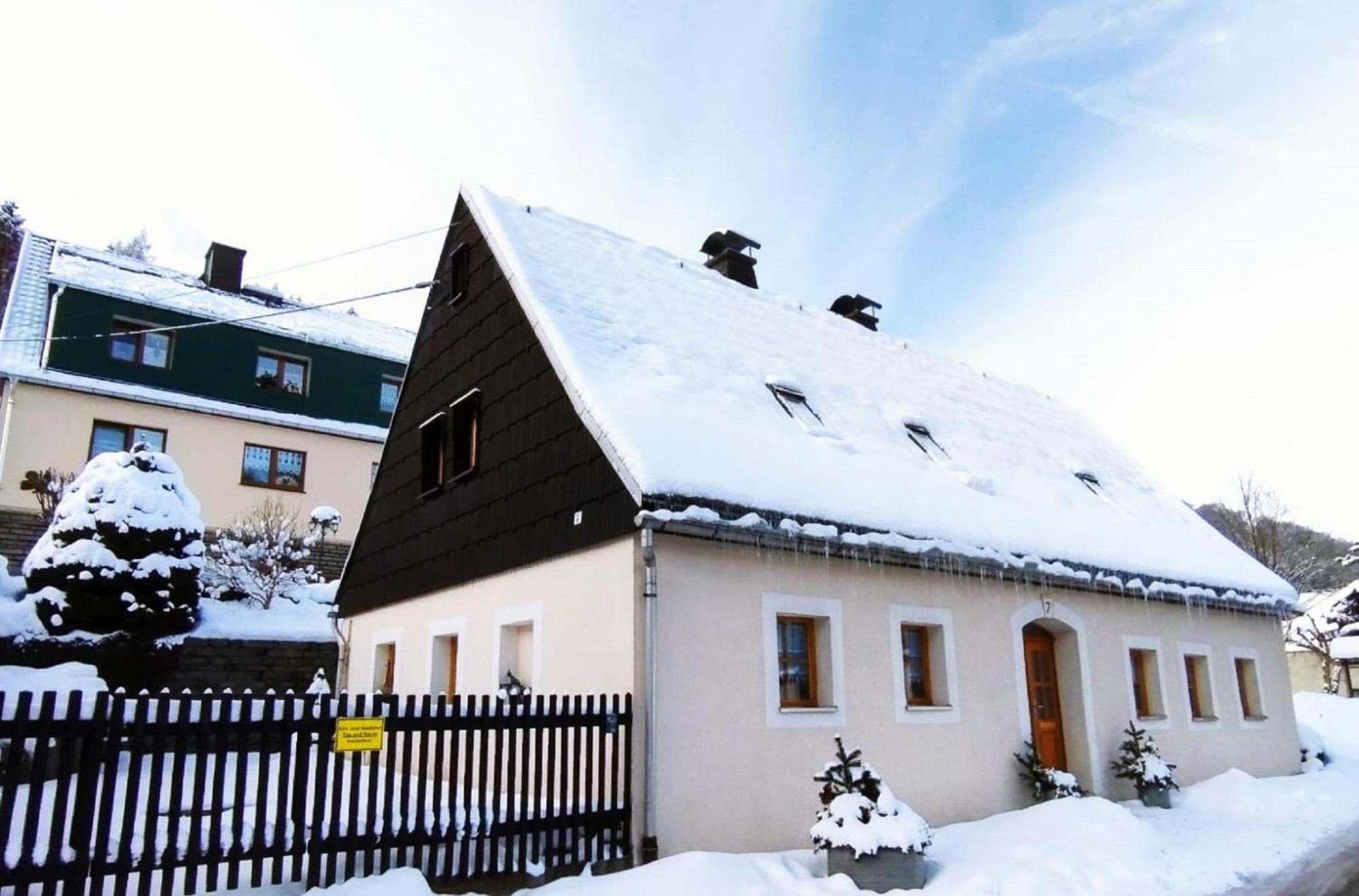 Ferienhaus "De Sieme" Olbernhau Eksteriør billede