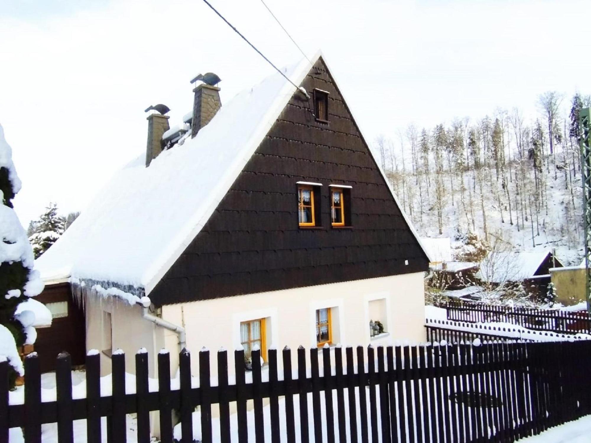 Ferienhaus "De Sieme" Olbernhau Eksteriør billede